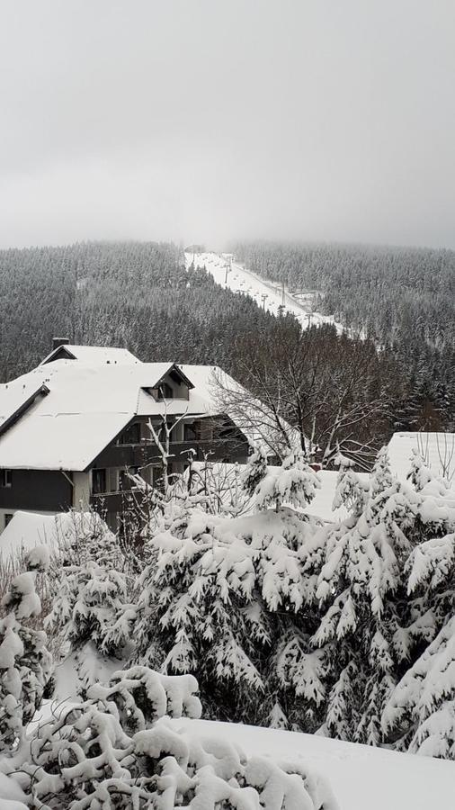 Ferienwohnung Steffens Hahnenklee Wohnung 25 Goslar Extérieur photo