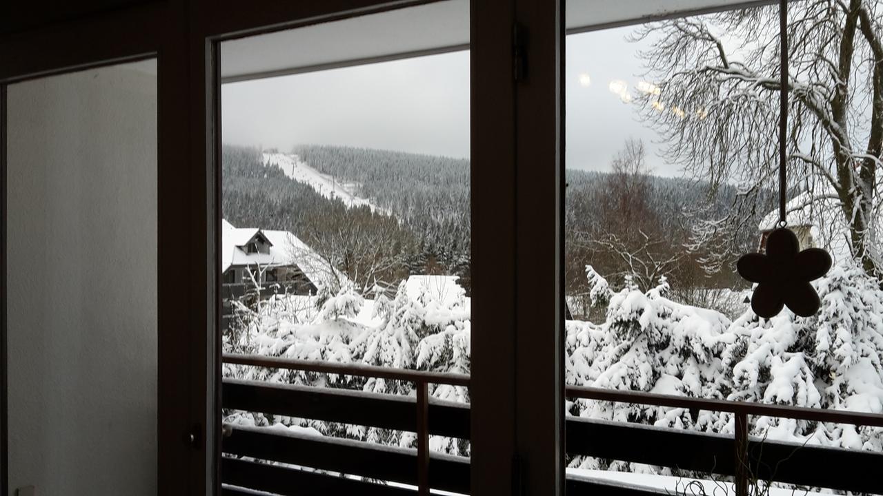 Ferienwohnung Steffens Hahnenklee Wohnung 25 Goslar Extérieur photo